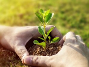 Mastercard Expands Restoration Initiative