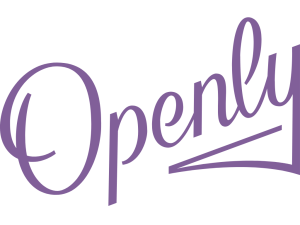 Openly Raises $193 Million